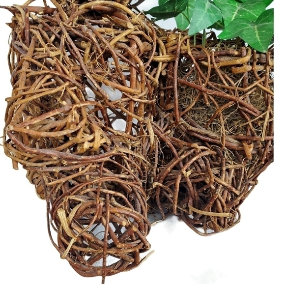 Vintage Teddy Bear honey pot planter Ivy topiary - Picture 11 of 14